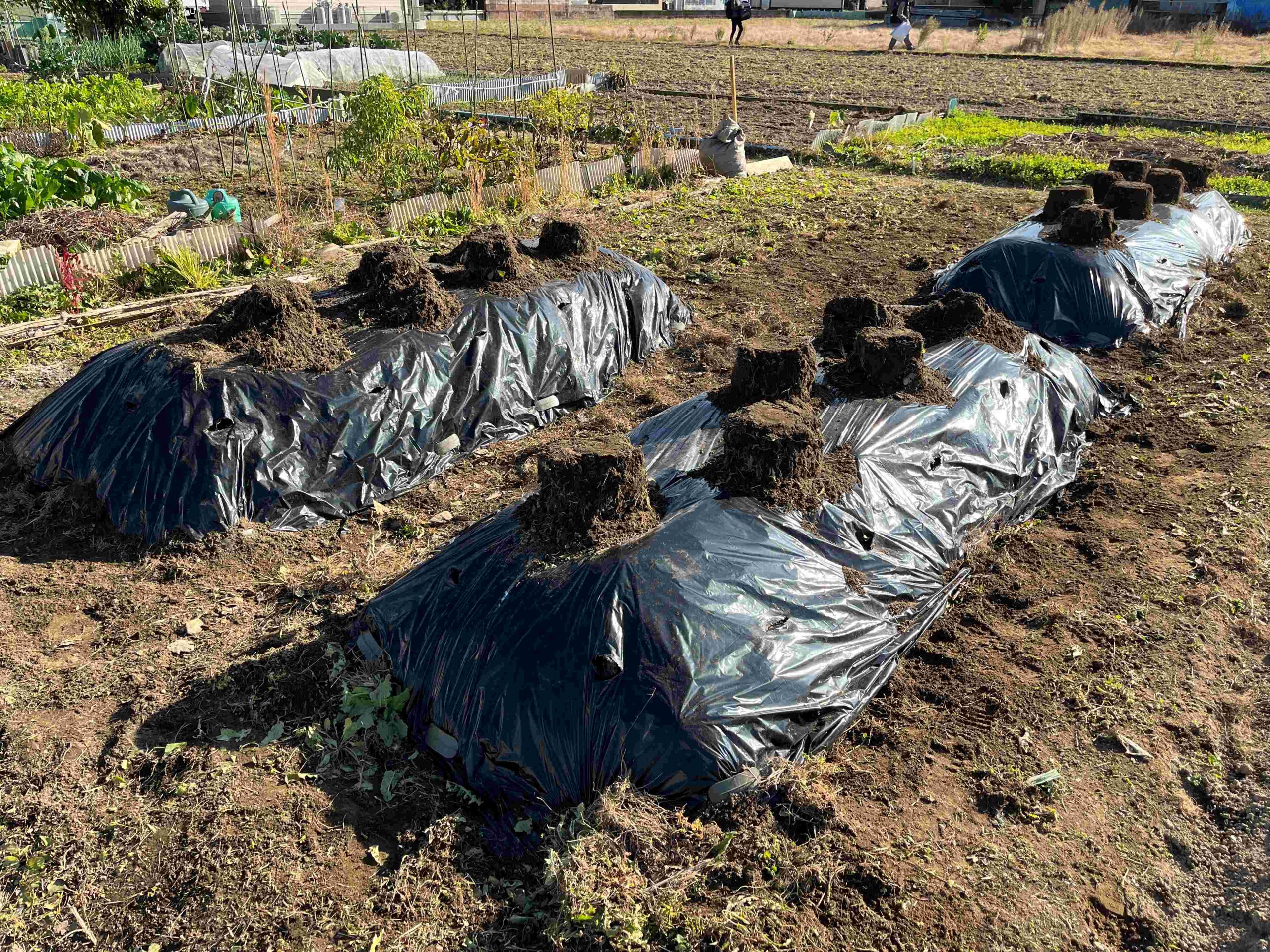 株式会社ハピネス・トゥモロー