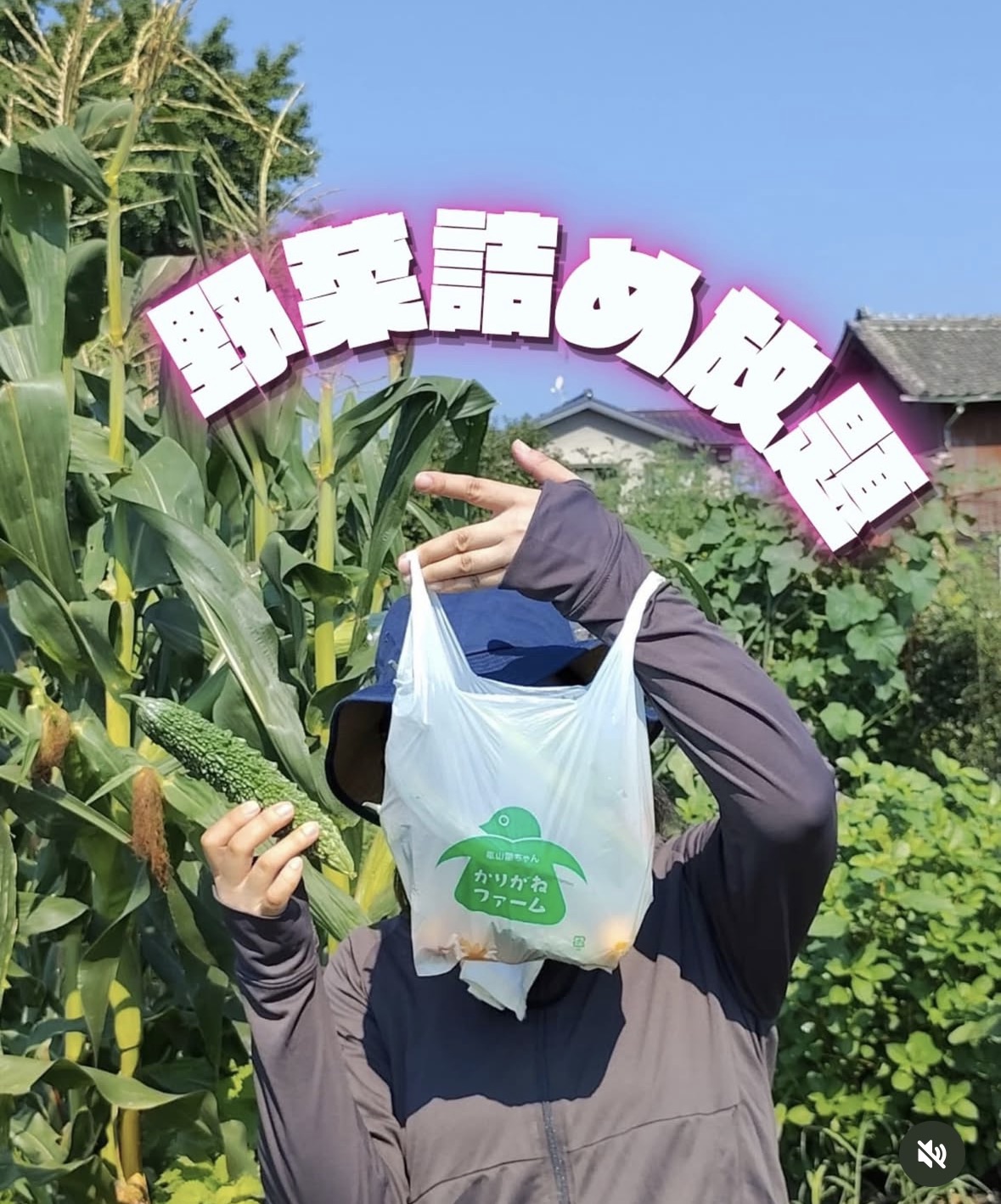 野菜詰め放題：かりがねファーム