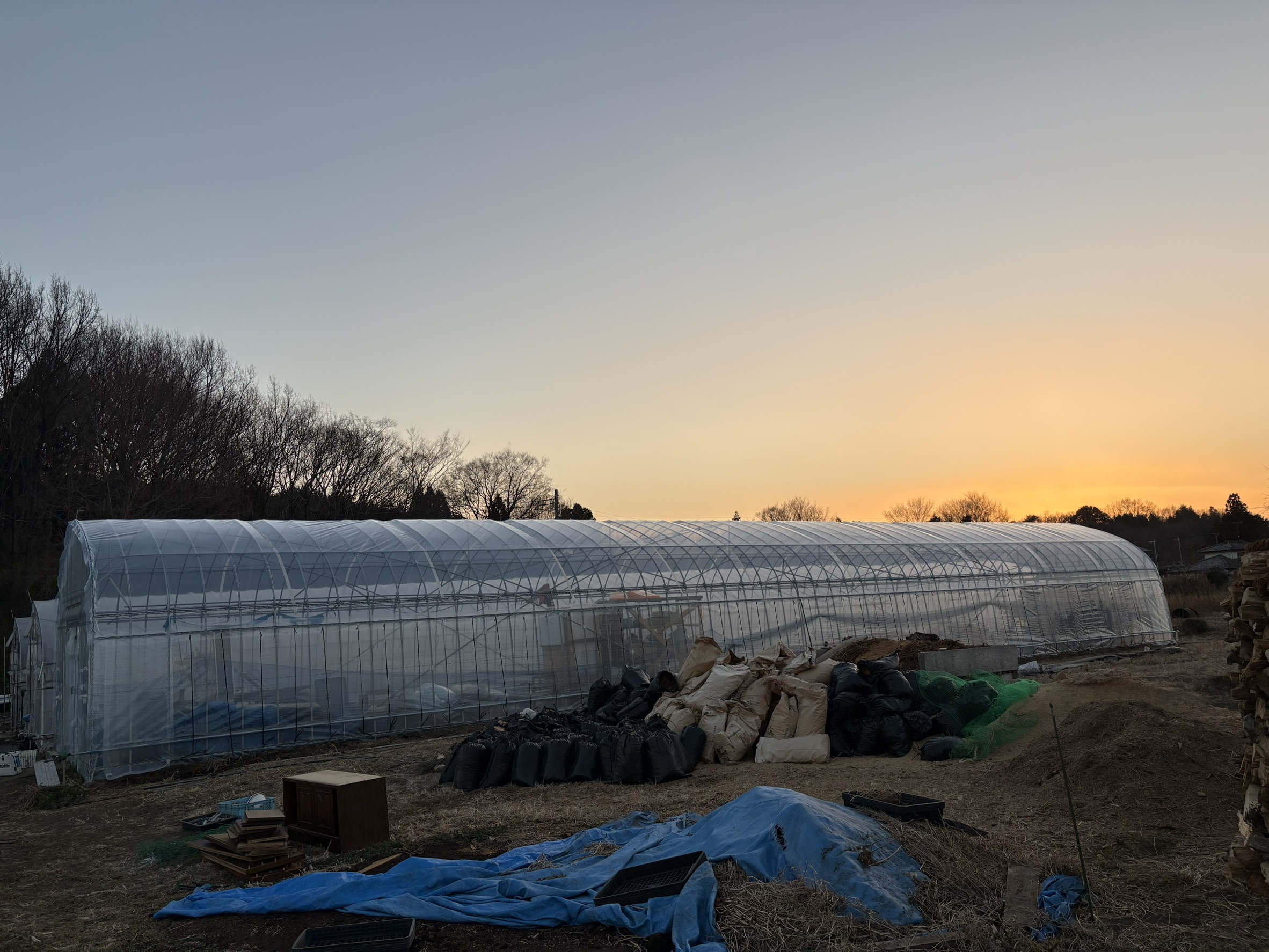 エサ：配送致します。