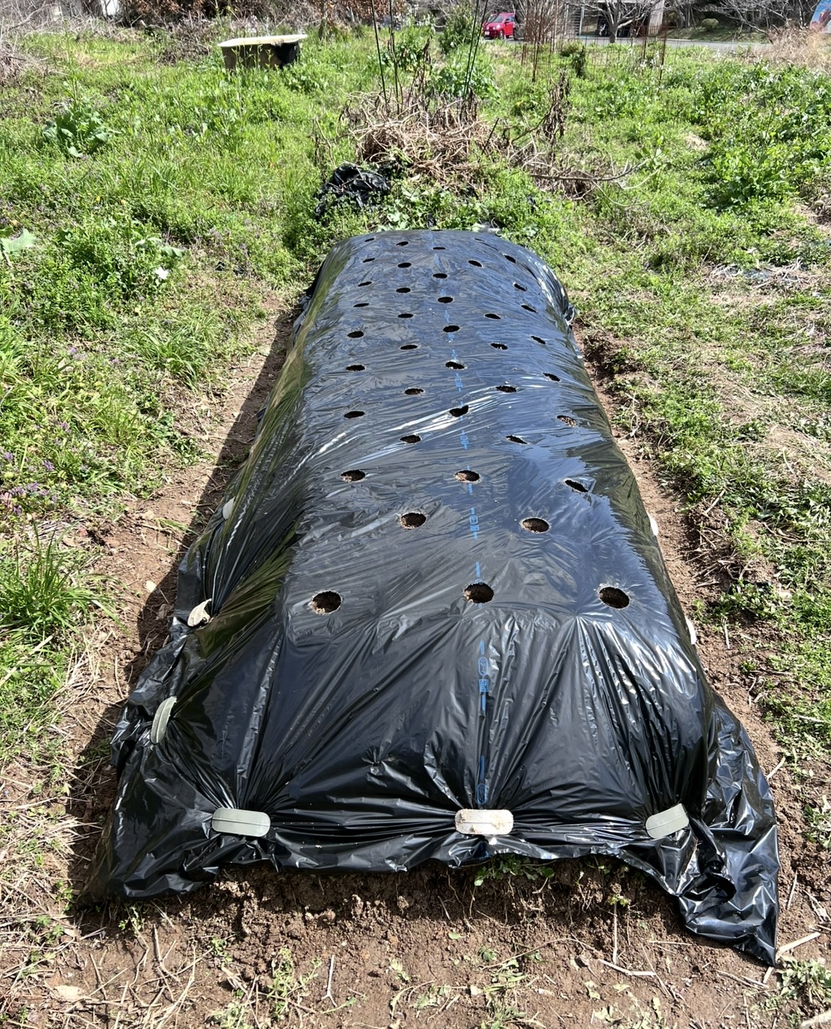 大人の秘密基地