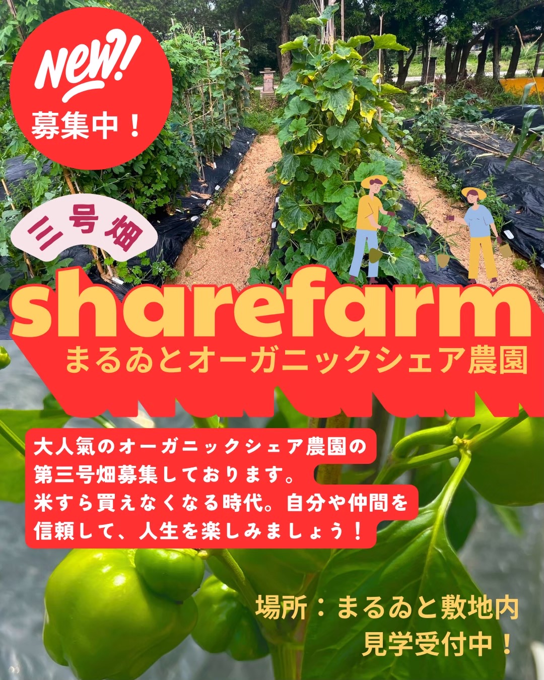 糸島まるゐとシェア農園