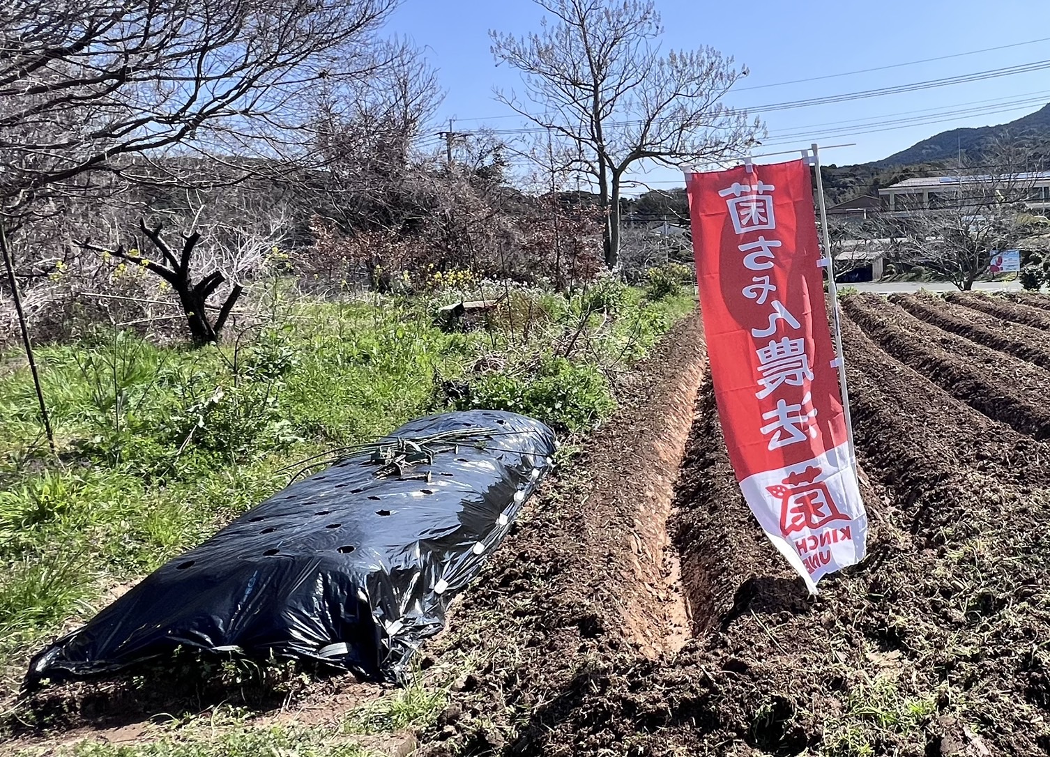 糸島の秘密基地