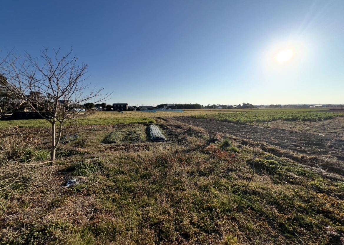 宮崎県新富町のＴさんの畑予定地視察