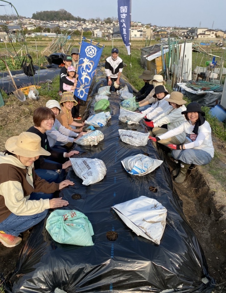 菌ちゃんノウハウわわわ